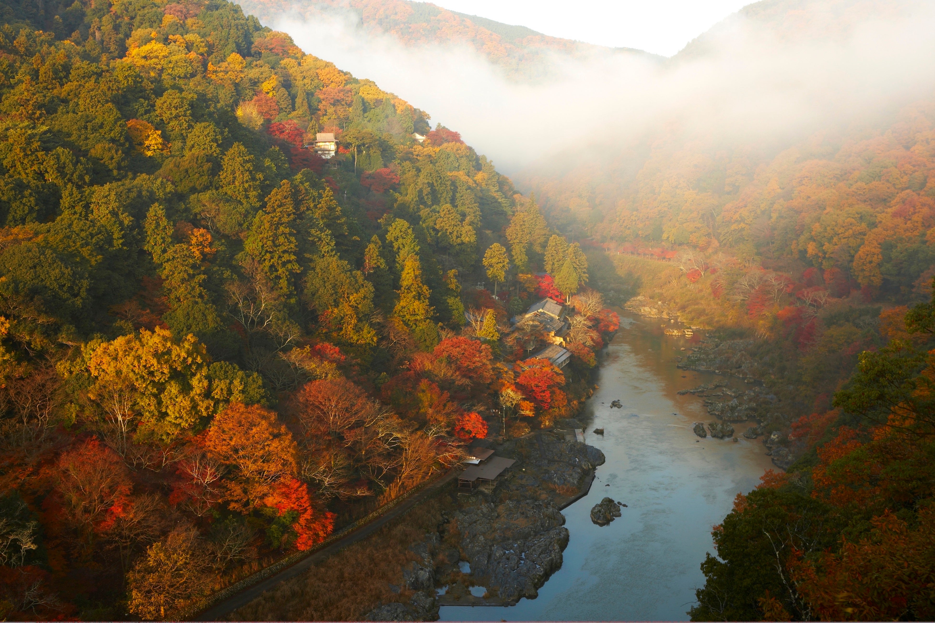 【星のや京都】奥嵐山の紅葉とともに、平安の雅を紐解く。日本古来の文化を堪能する秋の催しを開催