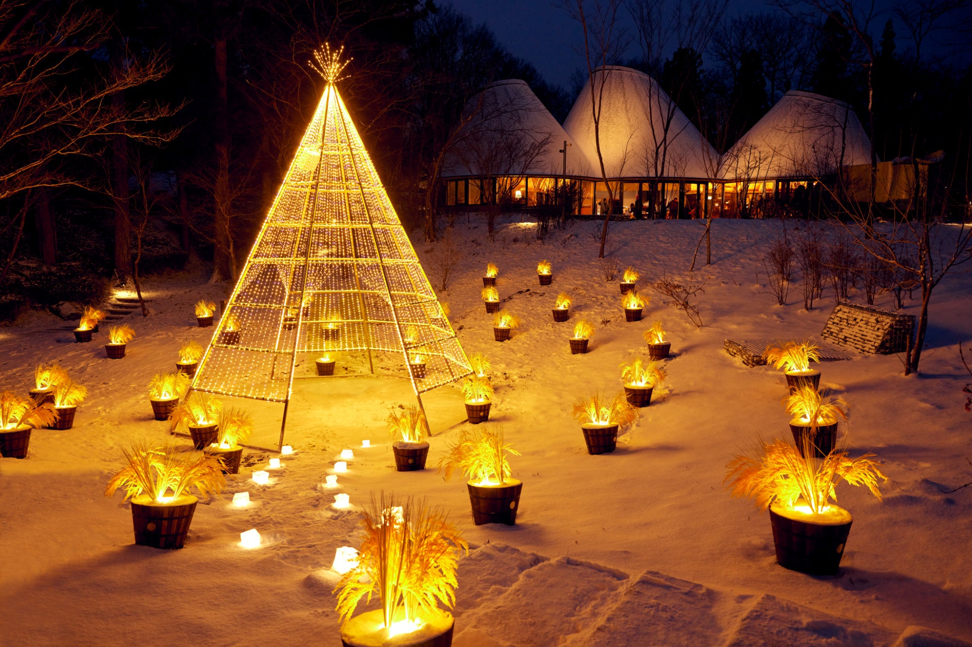 【リゾナーレ那須】稲穂をテーマにした黄金色のイルミネーションが輝く「稲穂クリスマス」今年も開催