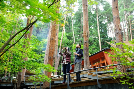 【星のや富士】富士山麓の大自然と鍼灸指圧マッサージで心身を調える「森のウェルネスひとり旅」を開催 【星のや富士】富士山麓の大自然と鍼灸指圧マッサージで心身を調える「森のウェルネスひとり旅」を開催