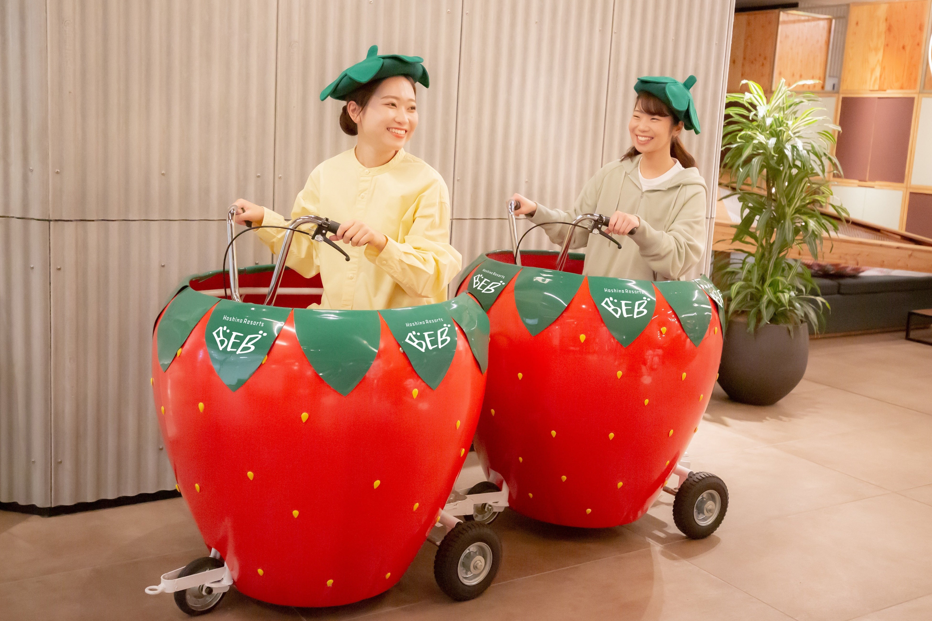 星野リゾート BEB5土浦】茨城県のオリジナル品種「いばらキッス