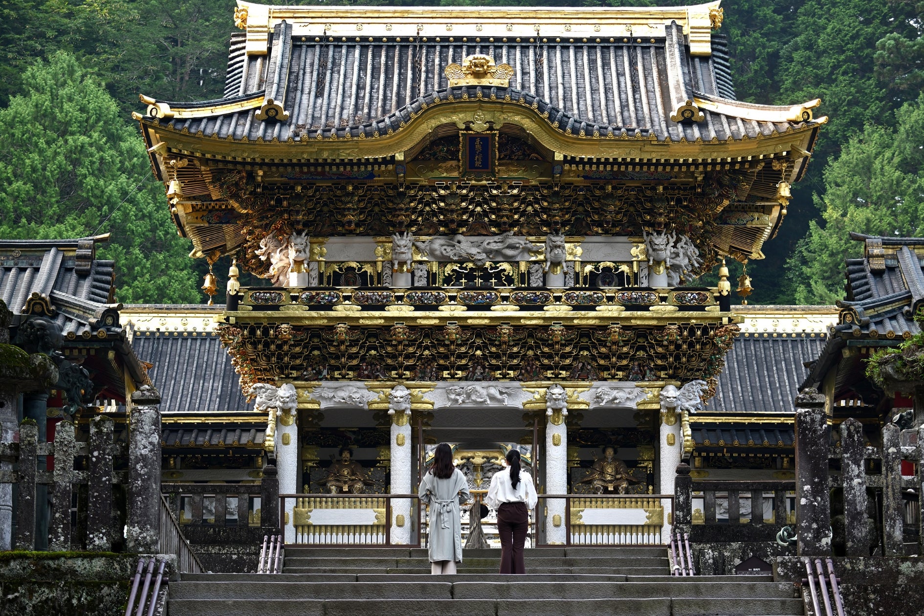 【1日1組完全貸切】1,000㎡の竹林をまるごと貸し切るキャンプ場「BAMBOO BASE KATSUURA」が千葉・勝浦にリニューアルオープン!