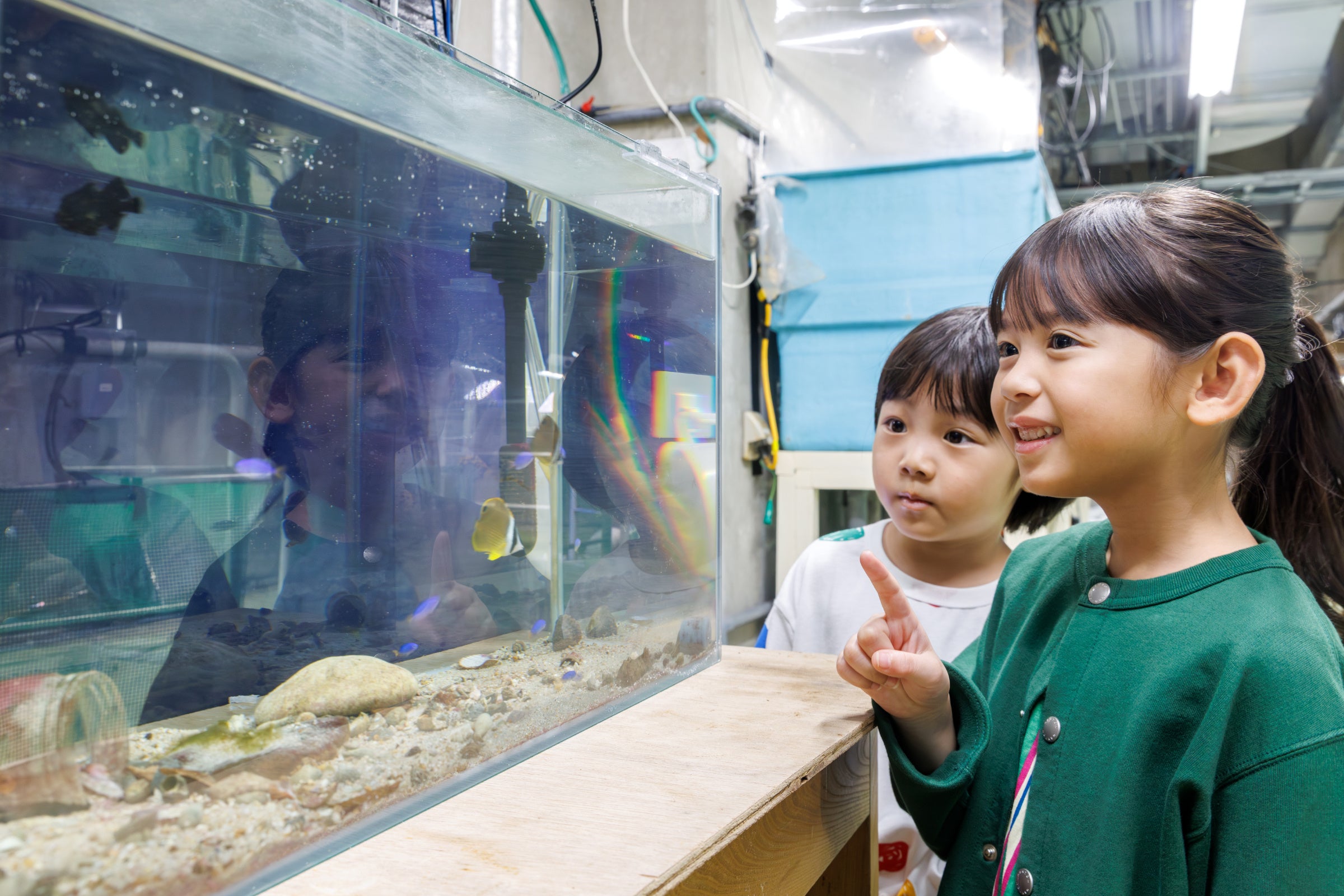 【リゾナーレ下関】ふぐの展示種数世界一の「海響館」とコラボレーションした宿泊者限定のアクティビティ「海響館の裏側潜入ツアー」の提供開始