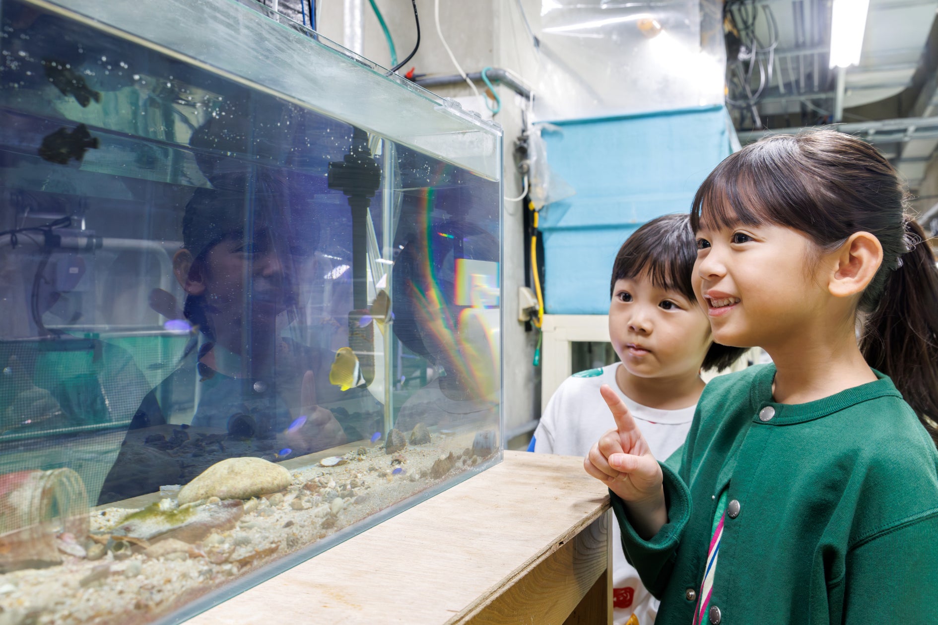 埼玉県北本市に「魚民 北本東口駅前店」が2026年10月2日(金)にリニューアルオープン!2日間限定で“全品半額のオープンセール”を実施。