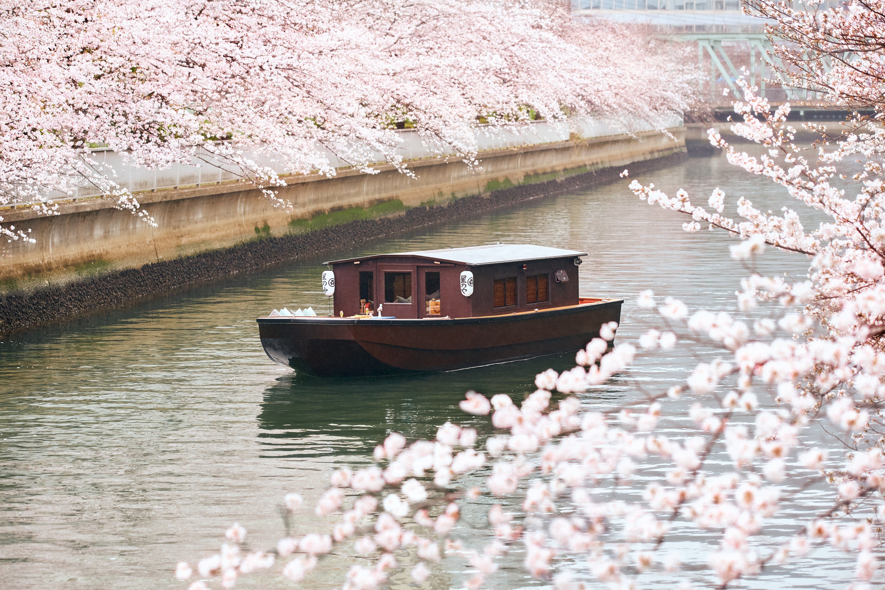 星のや東京】貸切舟で桜の絶景を眺めながら、特製花見重を堪能する