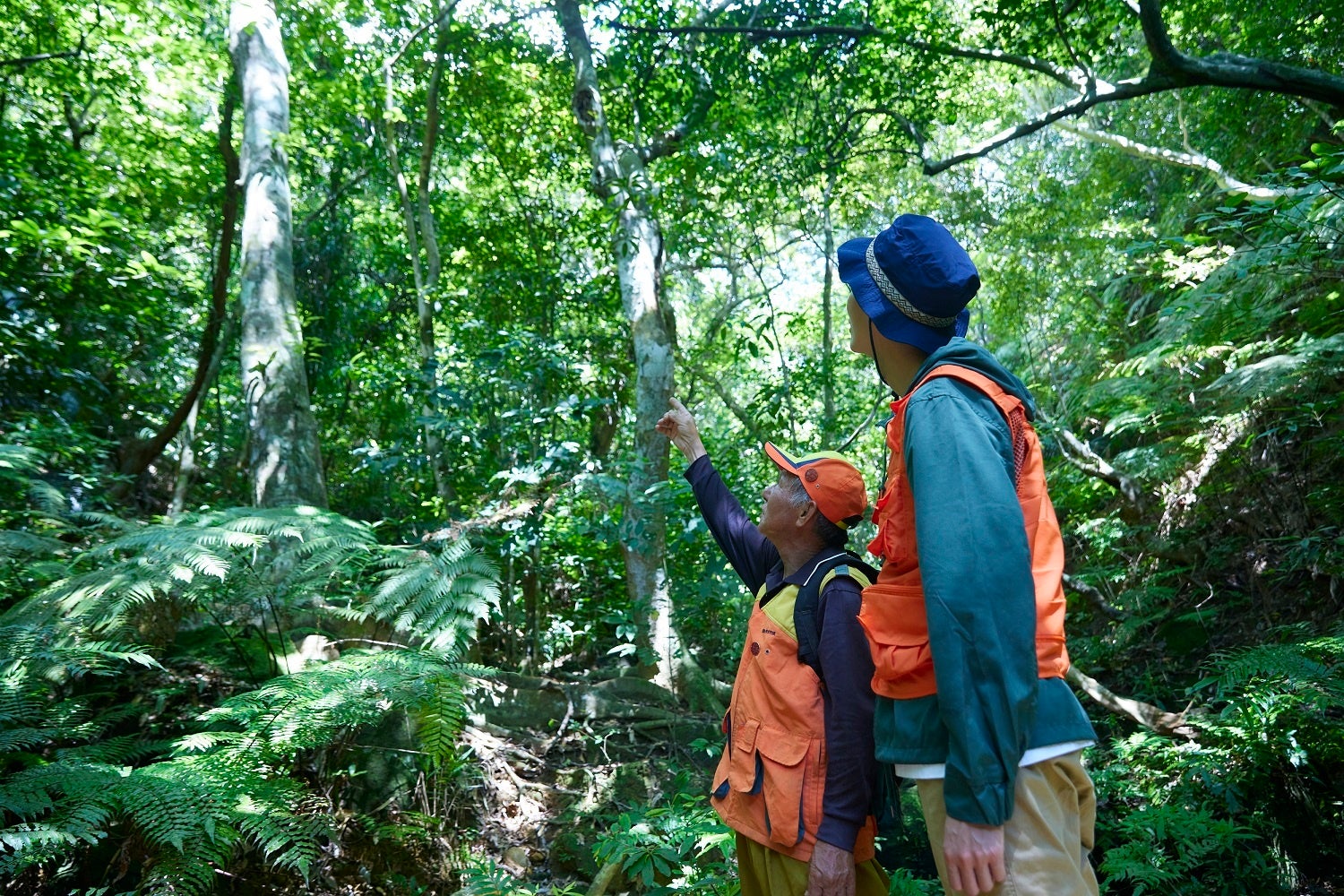 カマイの好物の植物を観察