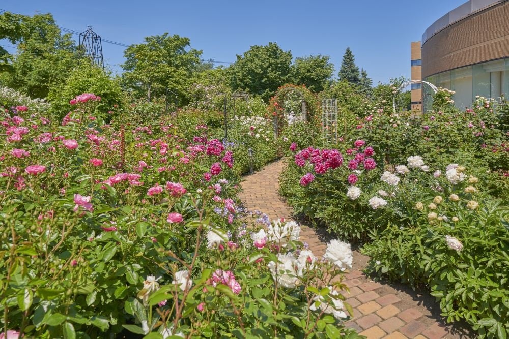 あいの里(ロイズ本社敷地内)