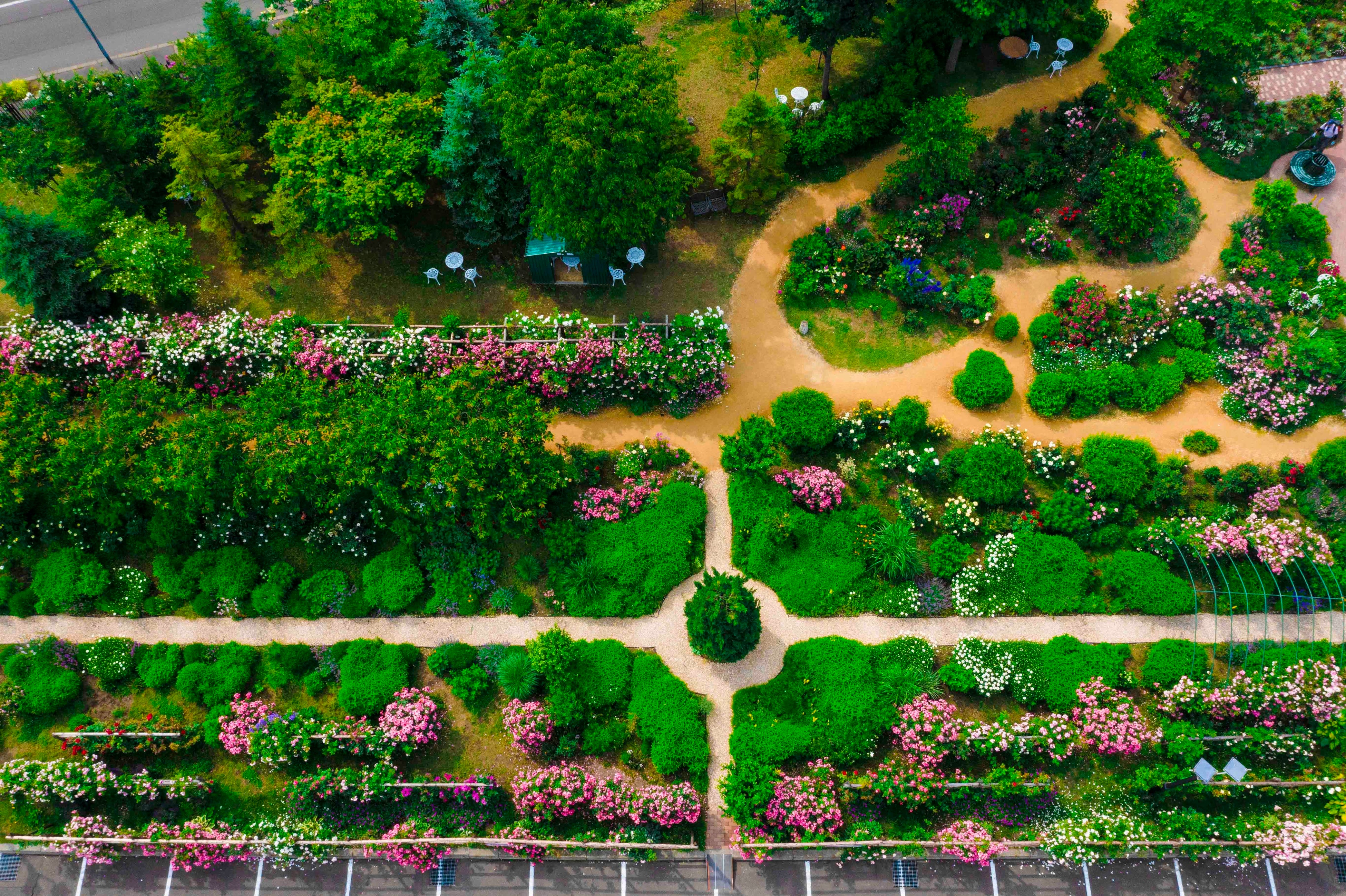 ロイズ ローズガーデンあいの里