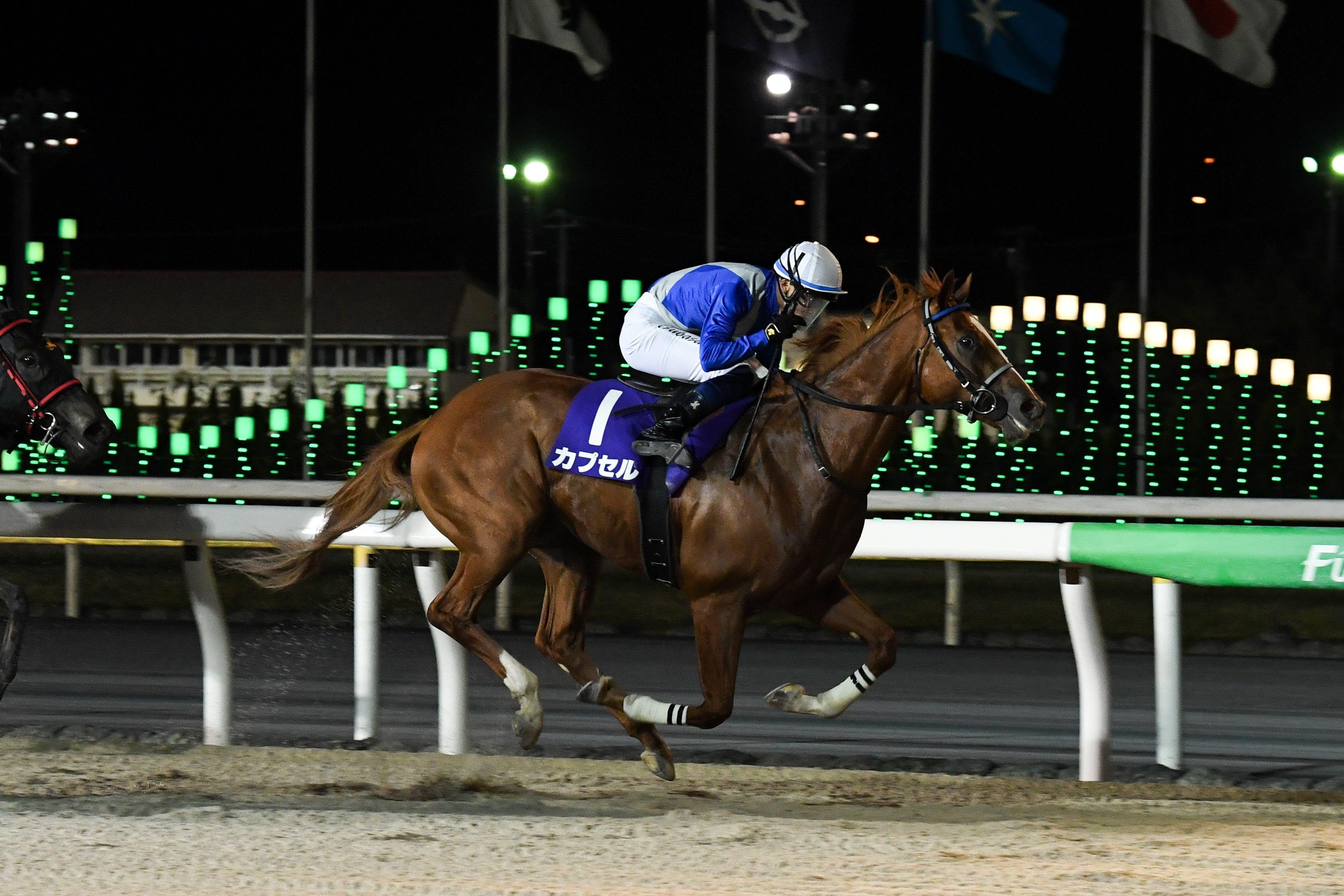 トウケイニセイラストラン　第21回桐花賞　単勝馬券　岩手競馬 観覧券セット 1月12日 トウケイニセイ水沢競馬場に登場！｜週刊テシオ情報局／特集