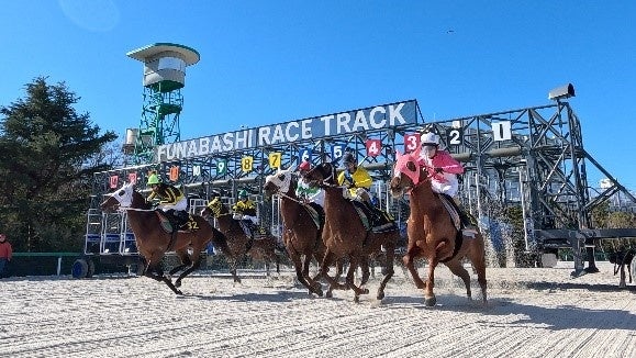 三上隆彦 馬 絵 金額縁 本物 馬の三く上 サラブレッド 競走馬 オルフェーヴル | サラブレッドアート