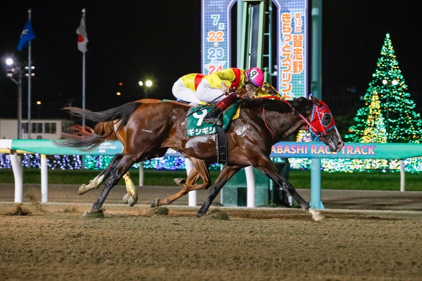 競馬　馬名前入り　第57回日本ダービー　文字プリント 浴衣2枚セット 優駿』2023.9月号(No.957) | 優駿・年間定期購読 | ターフィー
