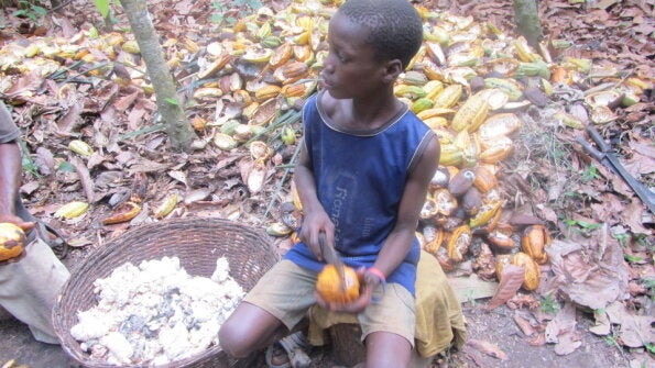 ガーナのカカオ農園で児童労働に携わる子ども