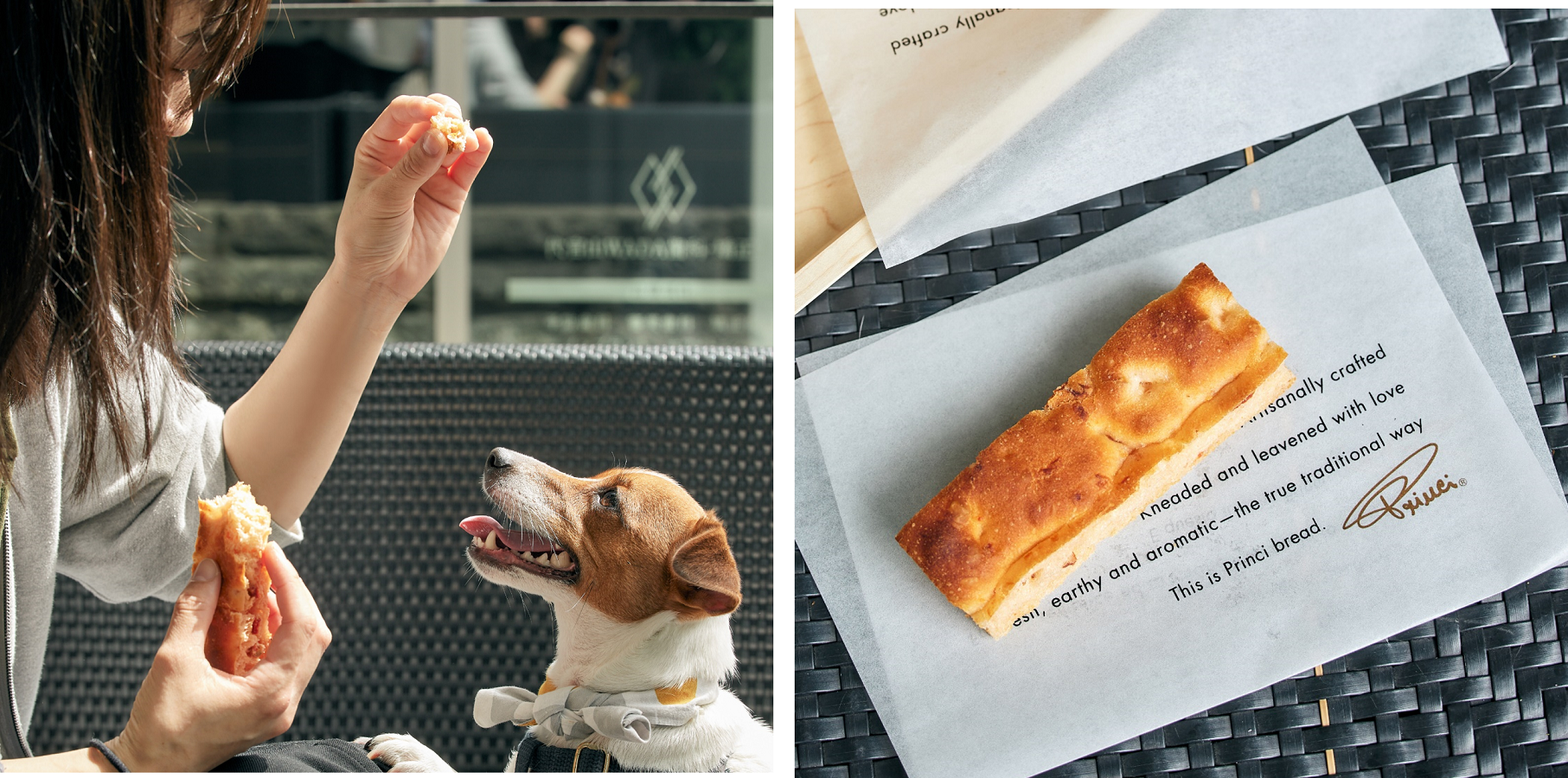 ※画像はイメージです。