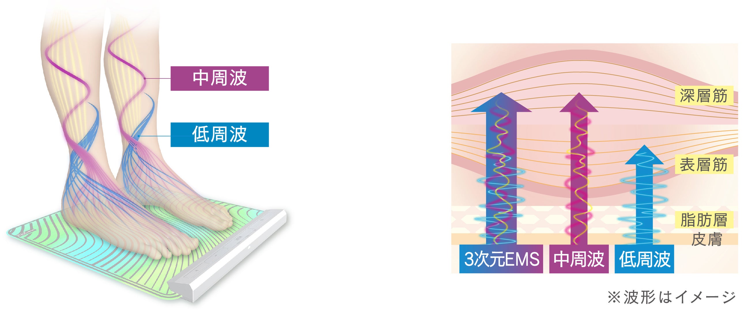次世代型EMSマシン「ルルドスタイル EMSシートネクサ」発売 | 株式会社