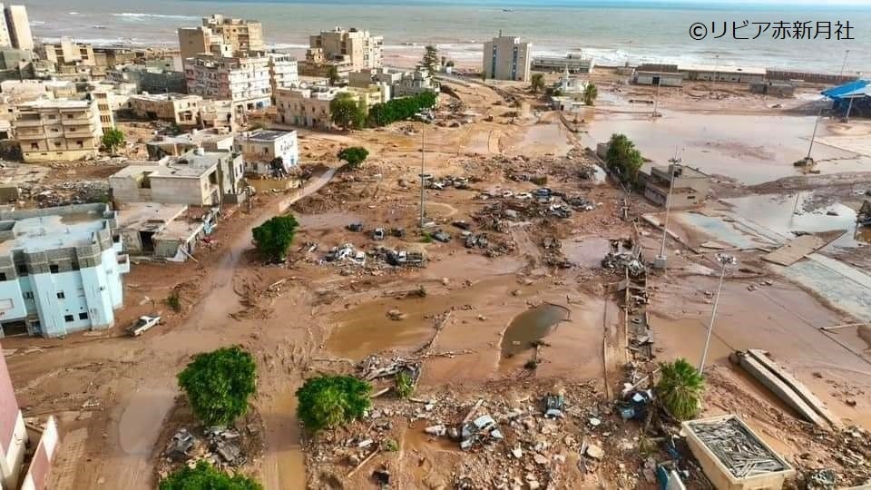 建物や車両などが海まで流された被災地の様子