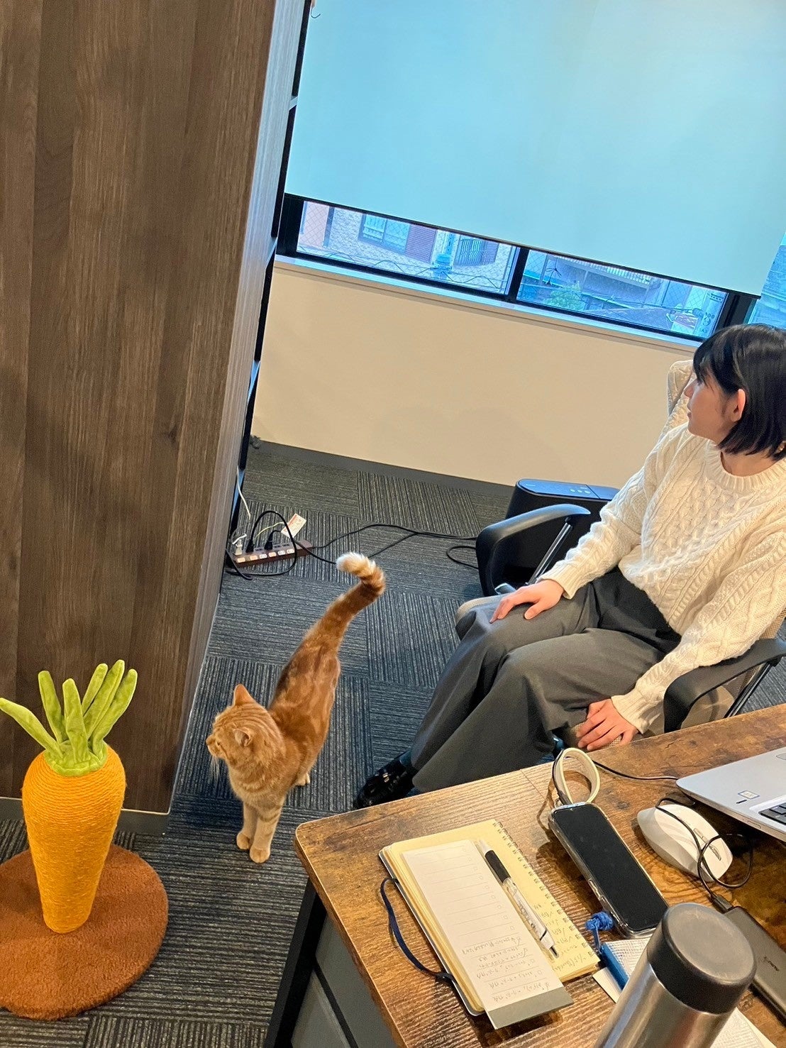 IRODORI合同会社様による預かり飼育の様子