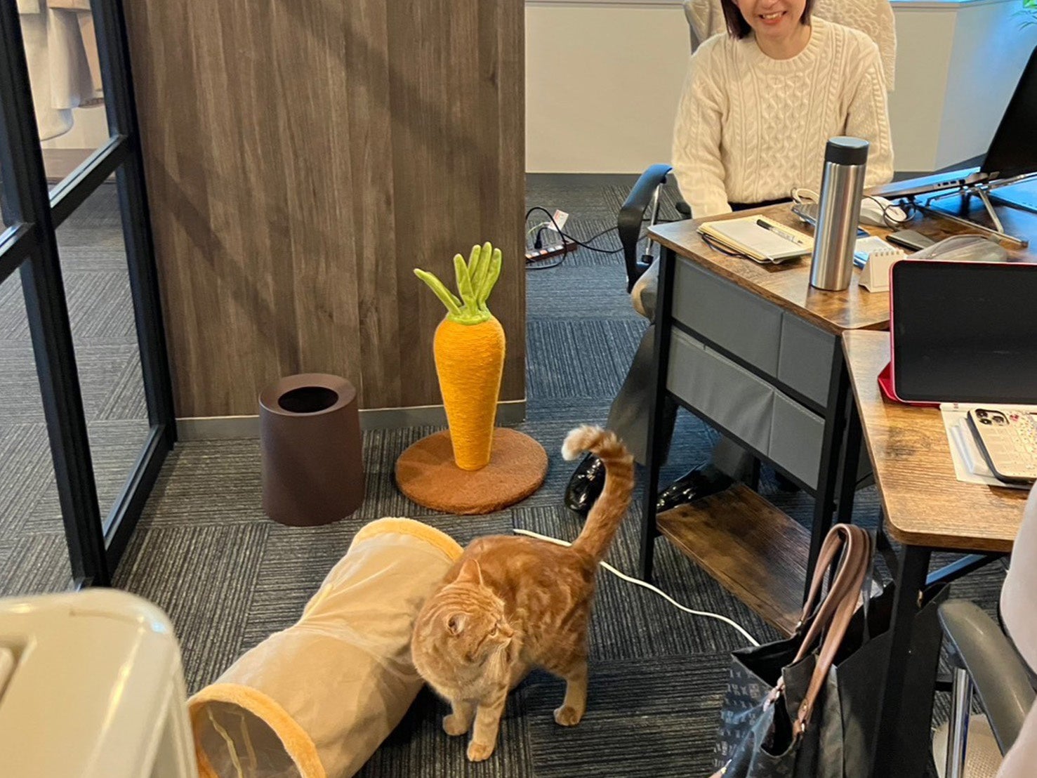 IRODORI合同会社様による預かり飼育の様子