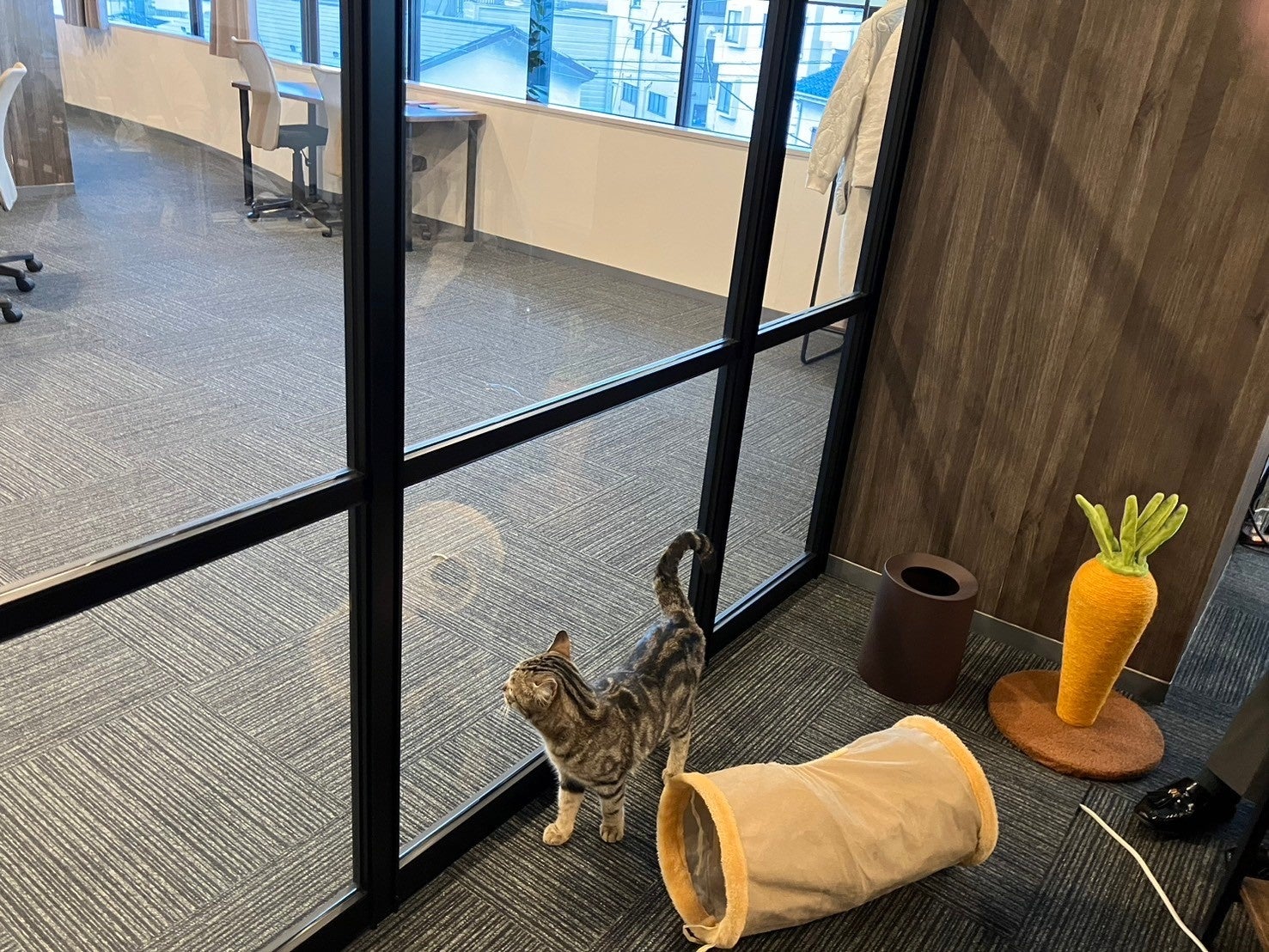 IRODORI合同会社様による預かり飼育の様子