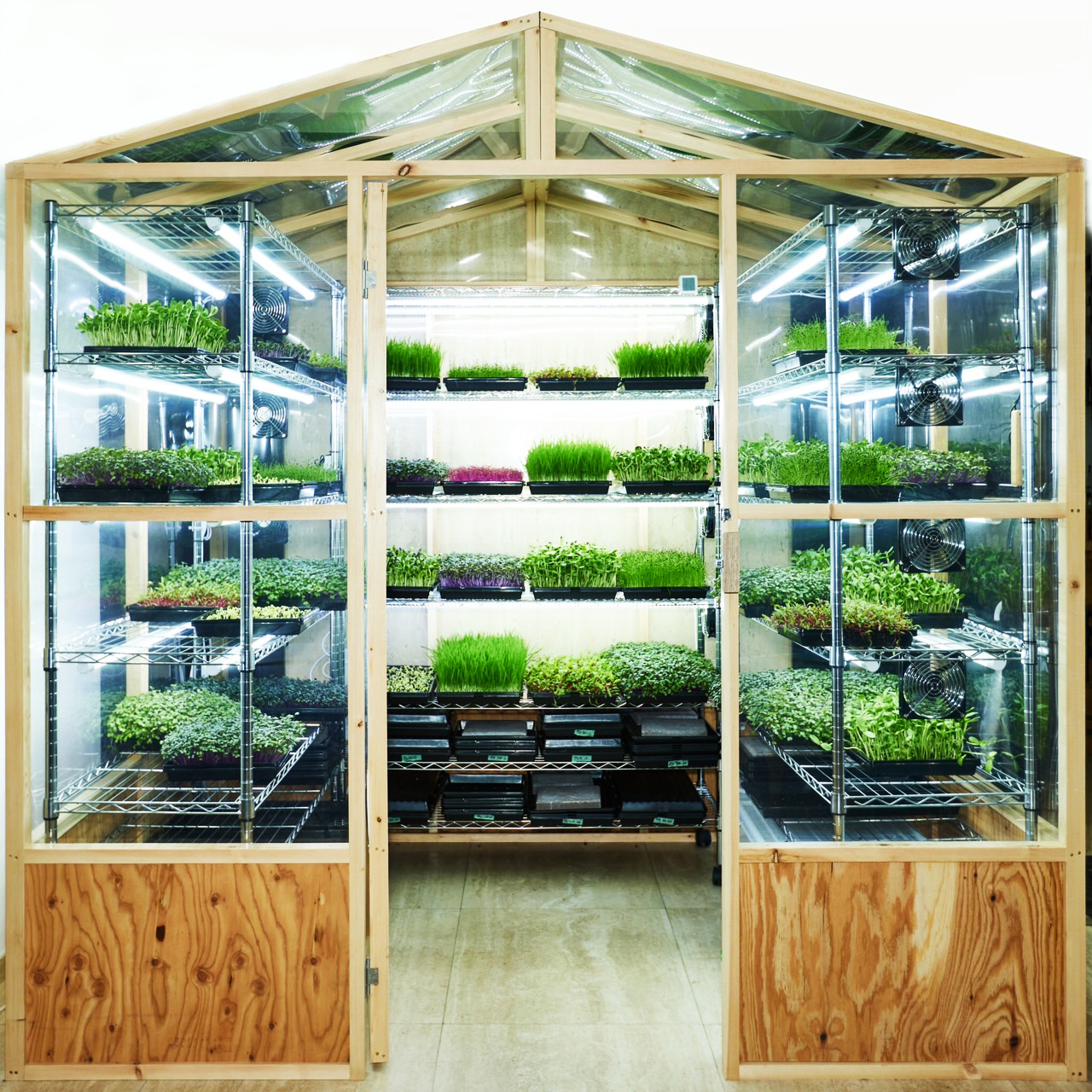 ＜マイクログリーンラボの様子＞