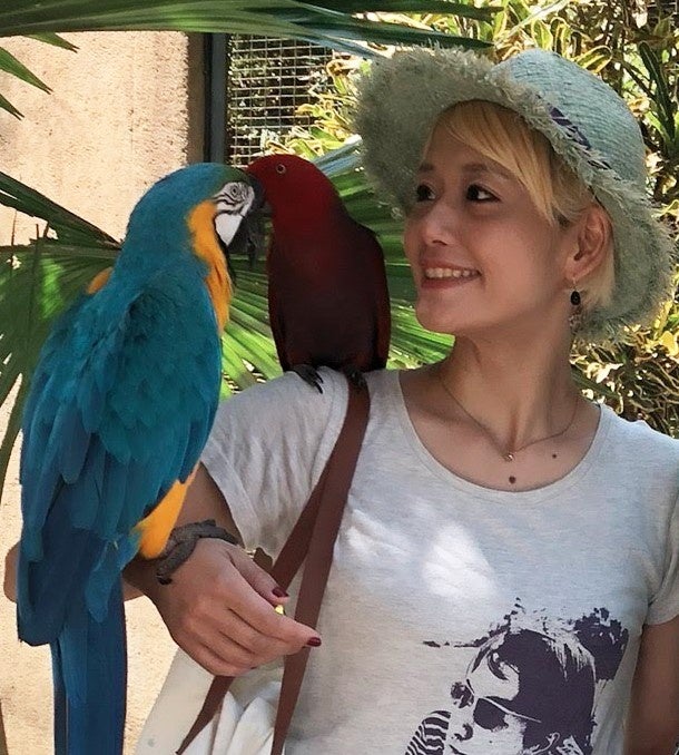 サリngROCK（突劇金魚）