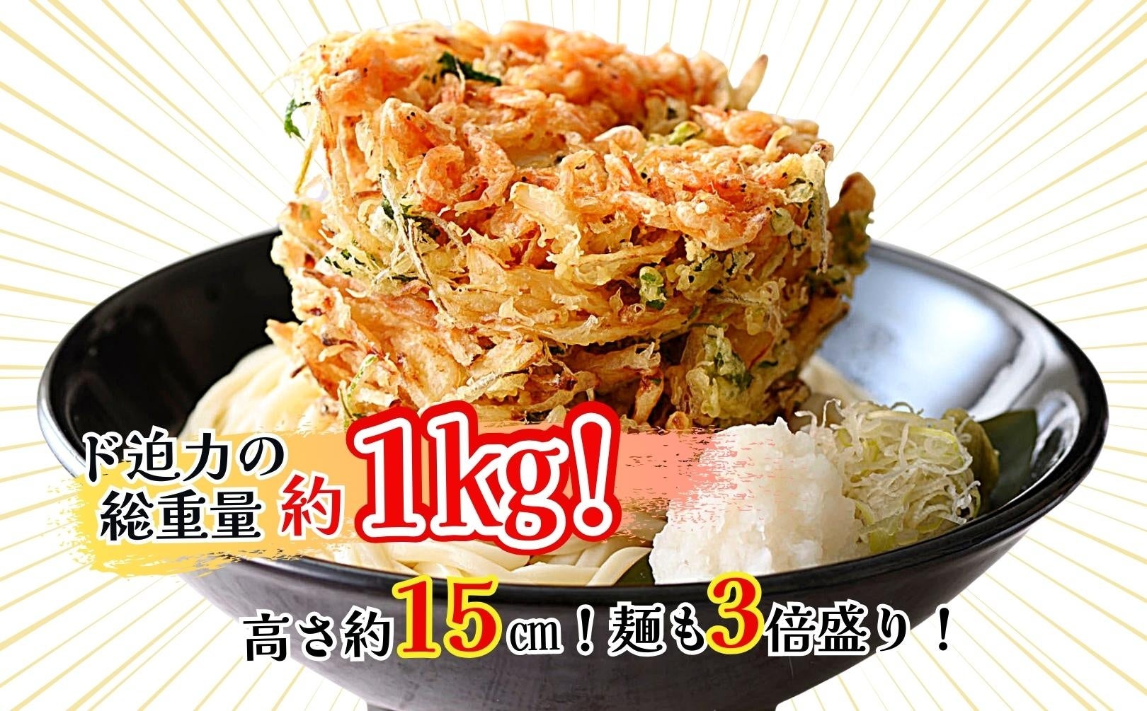 フジヤマかき揚げ（冷：うどん・そば）　税込1,990円