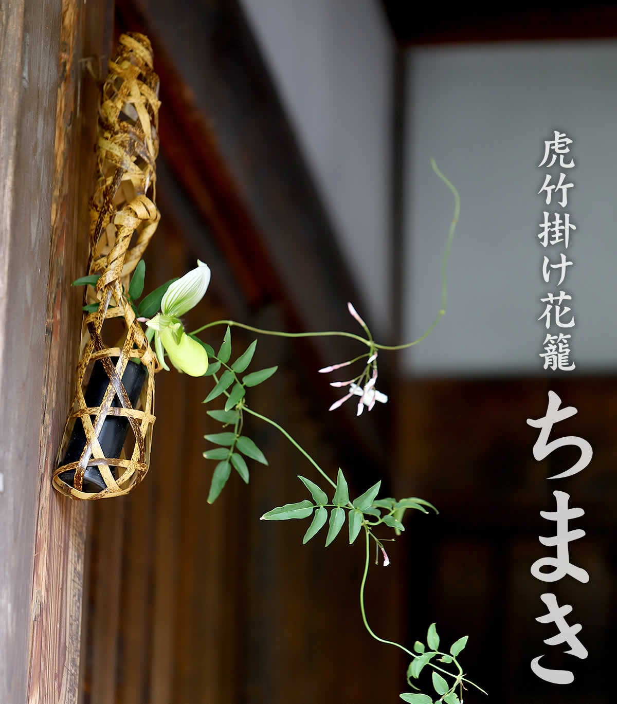 虎竹吊し灯籠 再登場！唯一無二の虎模様が魅せる「虎竹掛け花籠 ちまき」 | 株式会社