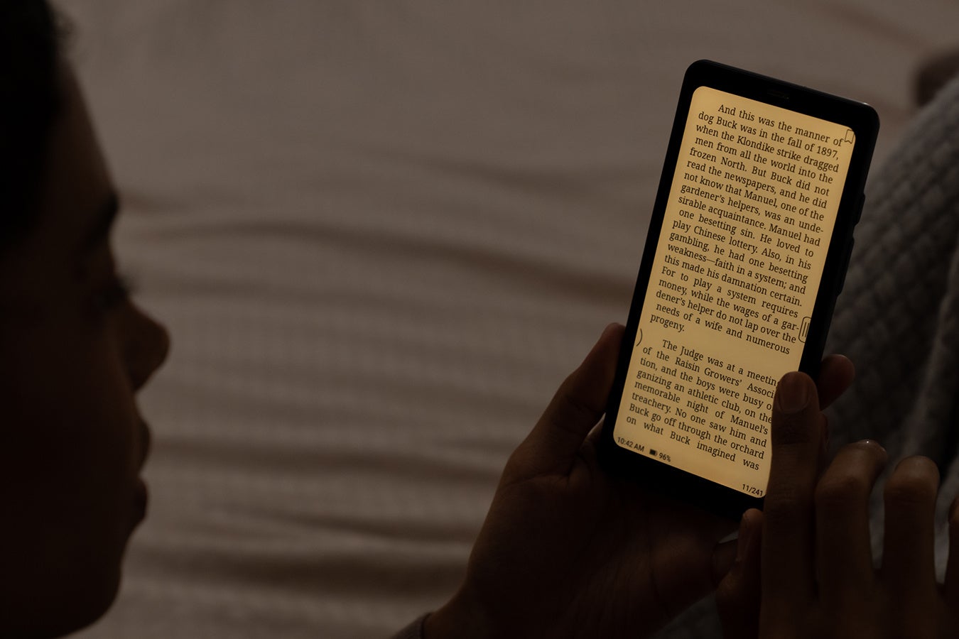 palma-image-frontlight