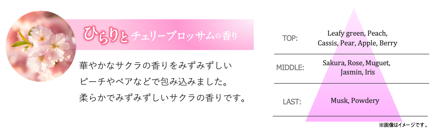サクラ香る貯水うねり美容 Purunt.（プルント）より、初のサクラ