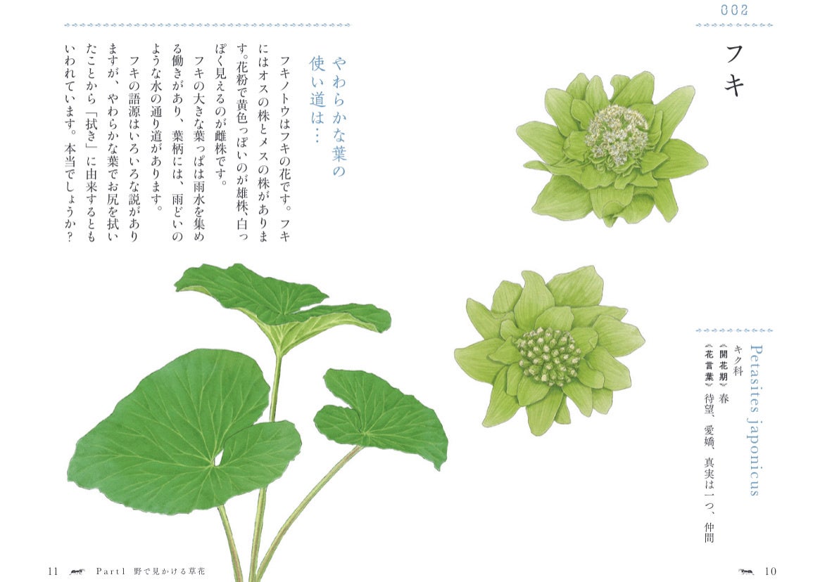 誰かに話したくなる 植物たちの小さなストーリー 花と草の物語手帳 105の花言葉とエピソード 発売 2 17発売 株式会社 大和書房のプレスリリース 誰かに話したくなる 植物たちの小さなストーリー 花と草の物語手帳 105の花言葉とエピソード 発売 2 17発売 株式会社 大和書房のプレスリリース