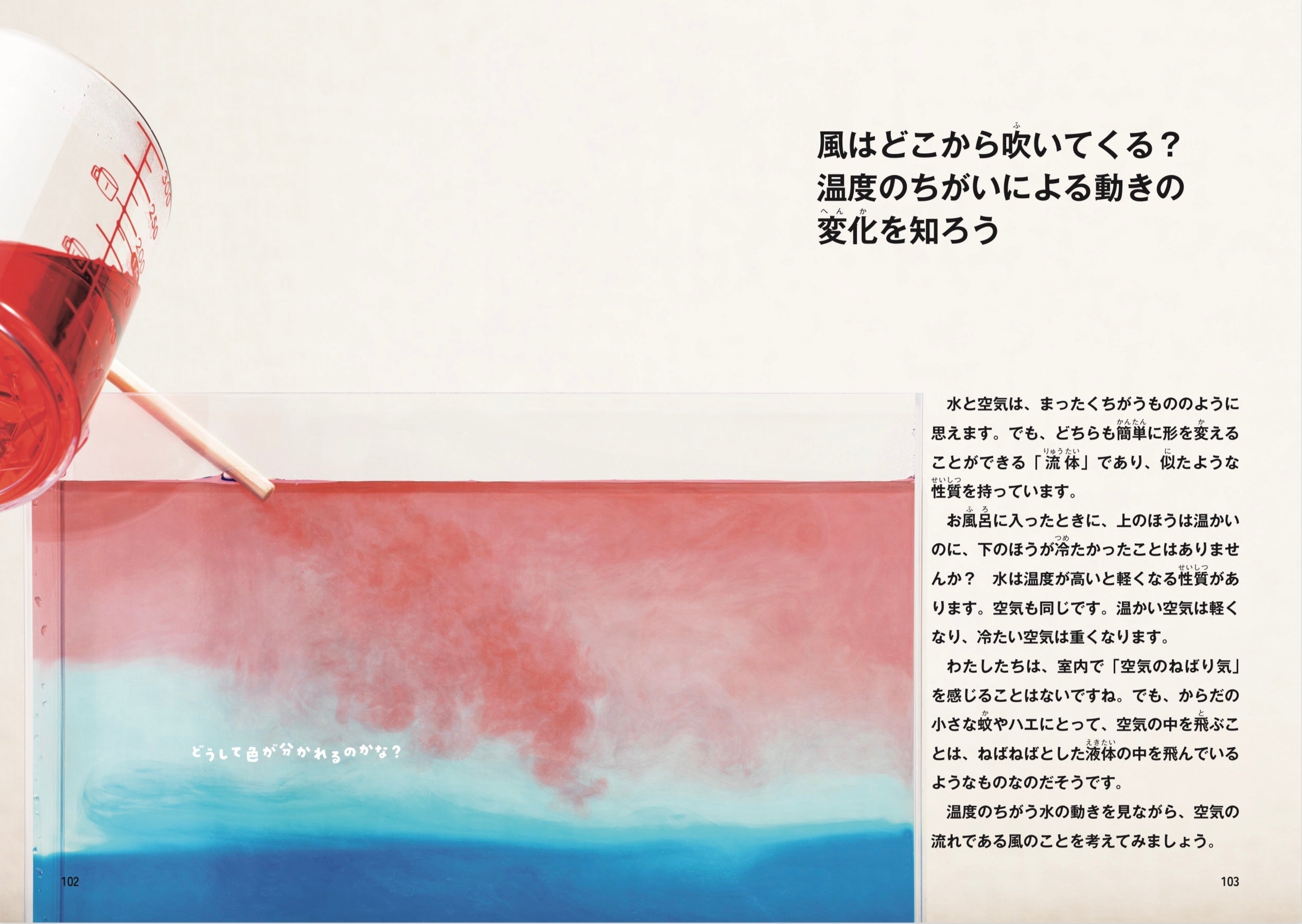 安浪京子先生、梶山正明先生絶賛！大人も子供も楽しめる『本当は