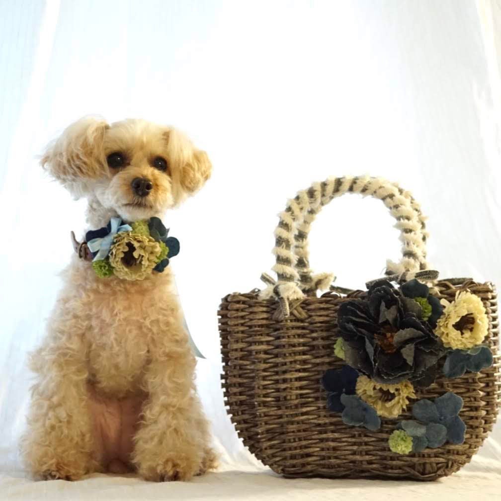 お揃いのバッグとチョーカー