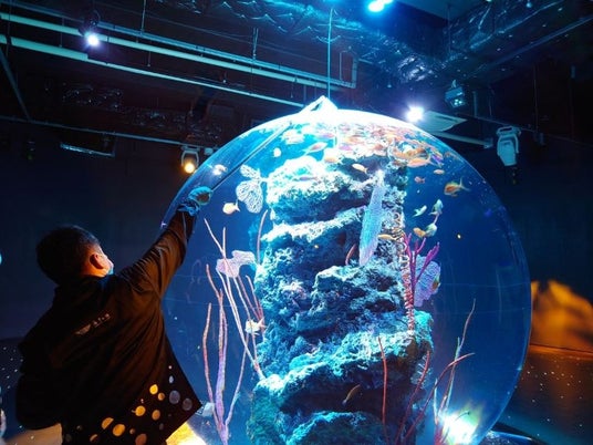 神戸ならではの特別体験を提供する『神戸のとびら』atoa「1日飼育員体験」、郷土史家と巡る「東灘魅力発見ツアー」を販売開始 神戸ならではの特別体験を提供する『神戸のとびら』atoa「1日飼育員体験」、郷土史家と巡る「東灘魅力発見ツアー」を販売開始