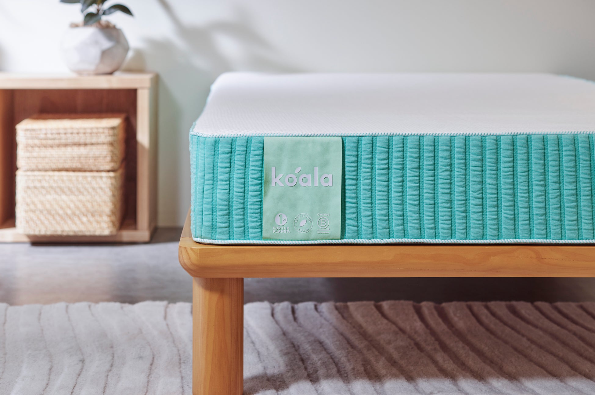 最安値で購入できる限定モデルの第6弾!「コアラマットレス BASIC MK-6 最安値で購入できる限定モデルの第6弾!「コアラマットレス BASIC MK-6