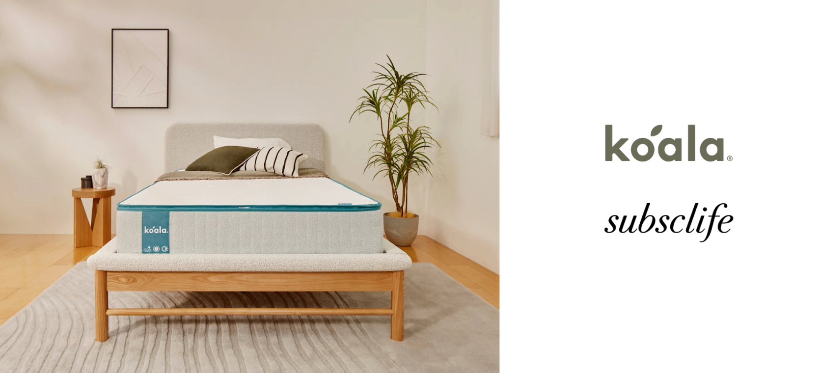 コアラマットレスにキングサイズが登場 | Koala Sleep Japan 株式会社