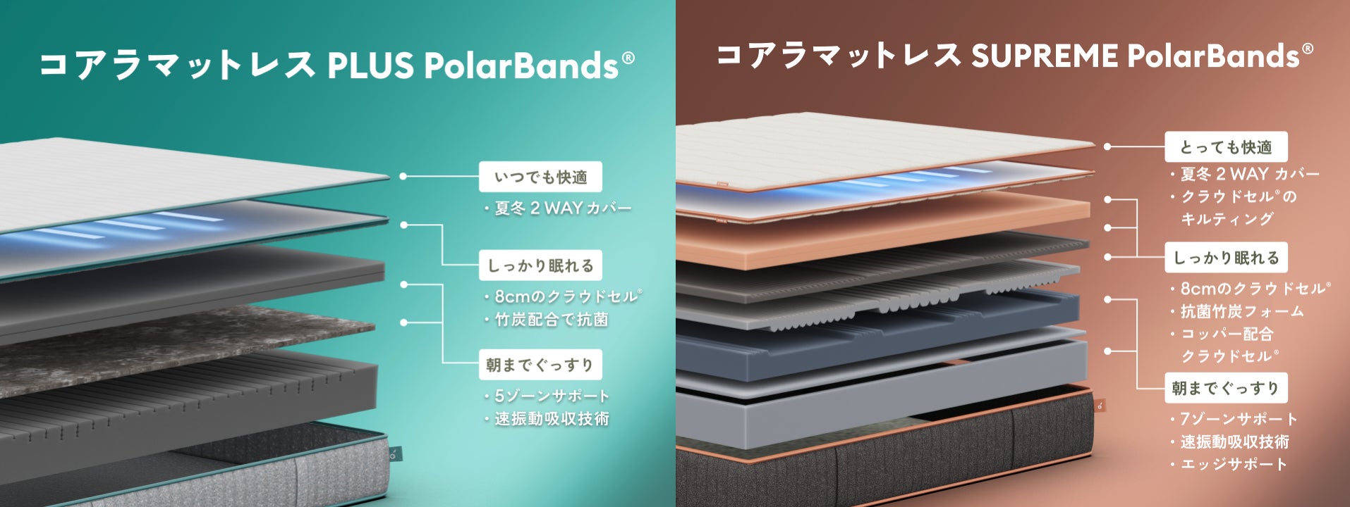 四季のある日本に最適!「コアラマットレス PLUS PolarBands®」と 四季のある日本に最適!「コアラマットレス PLUS PolarBands®」と
