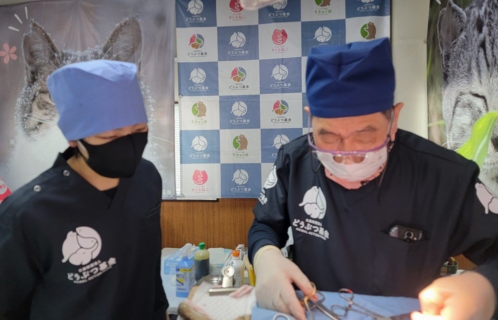 「神の手を持つ」と称される山口獣医師の執刀風景