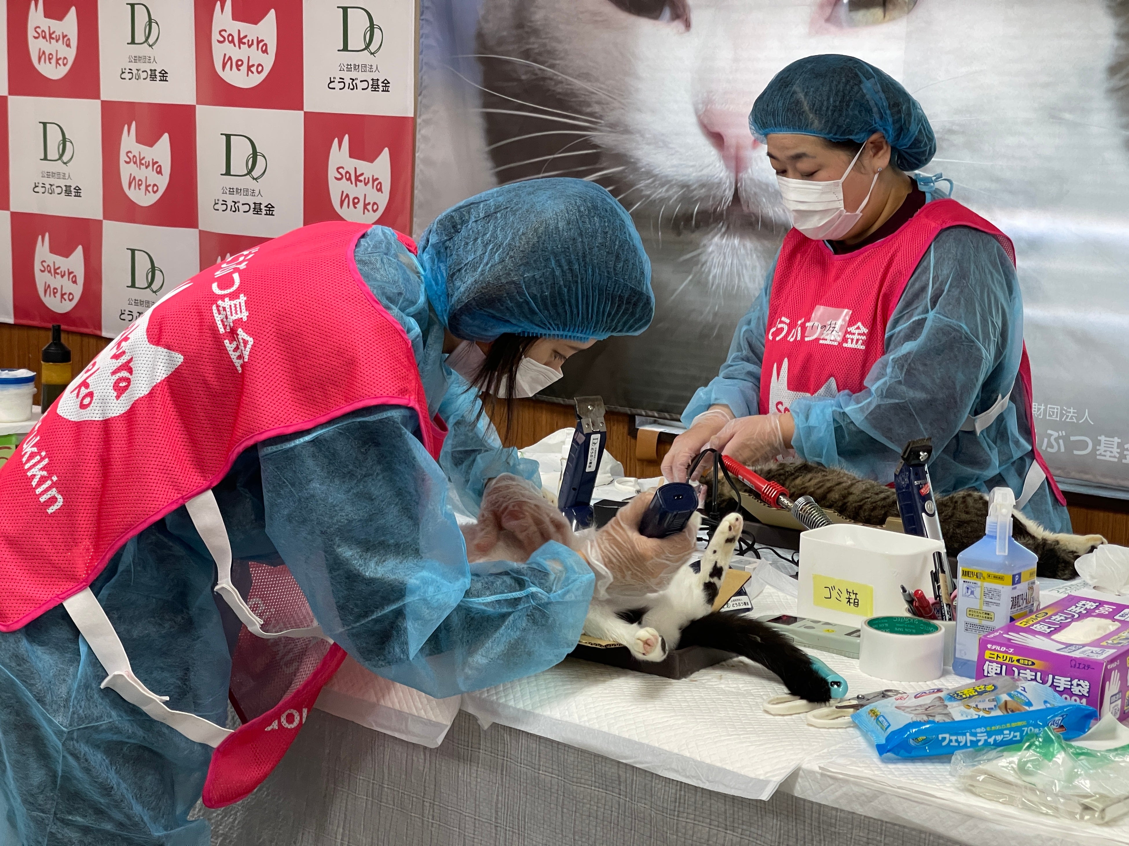 手術前の毛刈りの様子