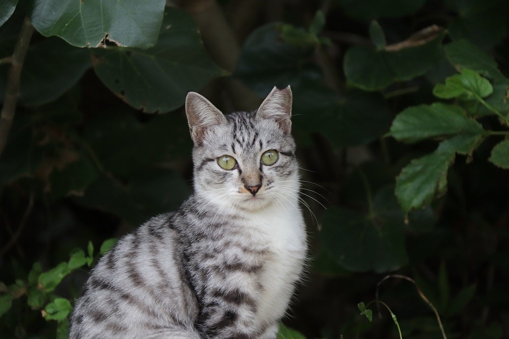沖縄県うるま市