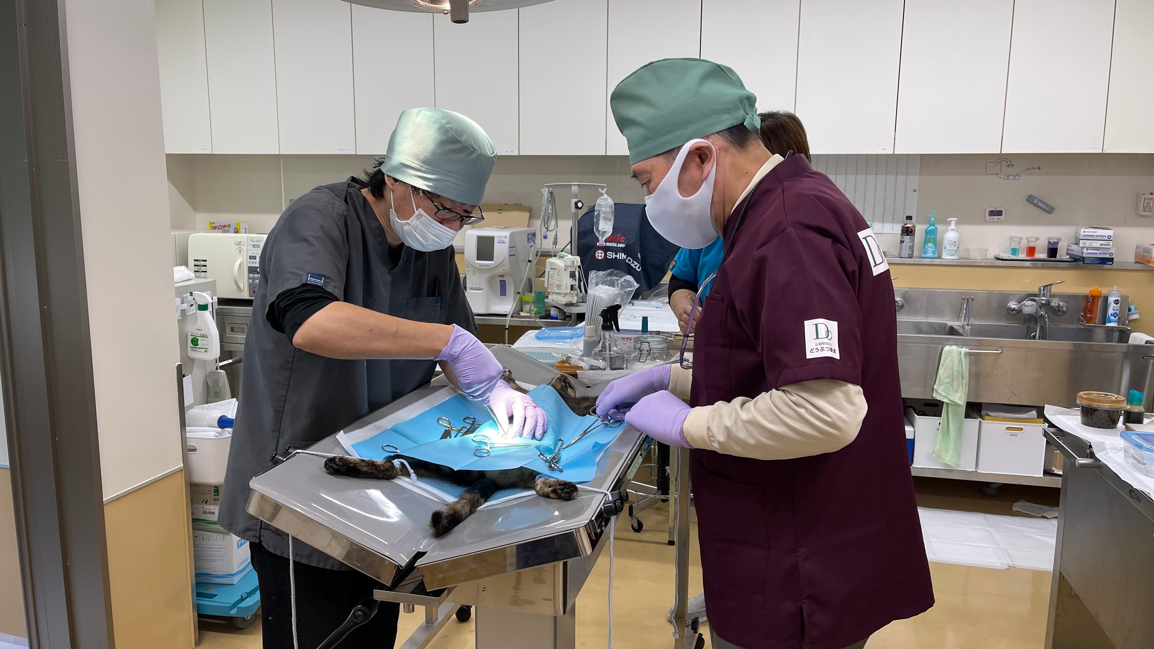 三重県✖公益財団法人どうぶつ基金】三重県動物愛護推進センター