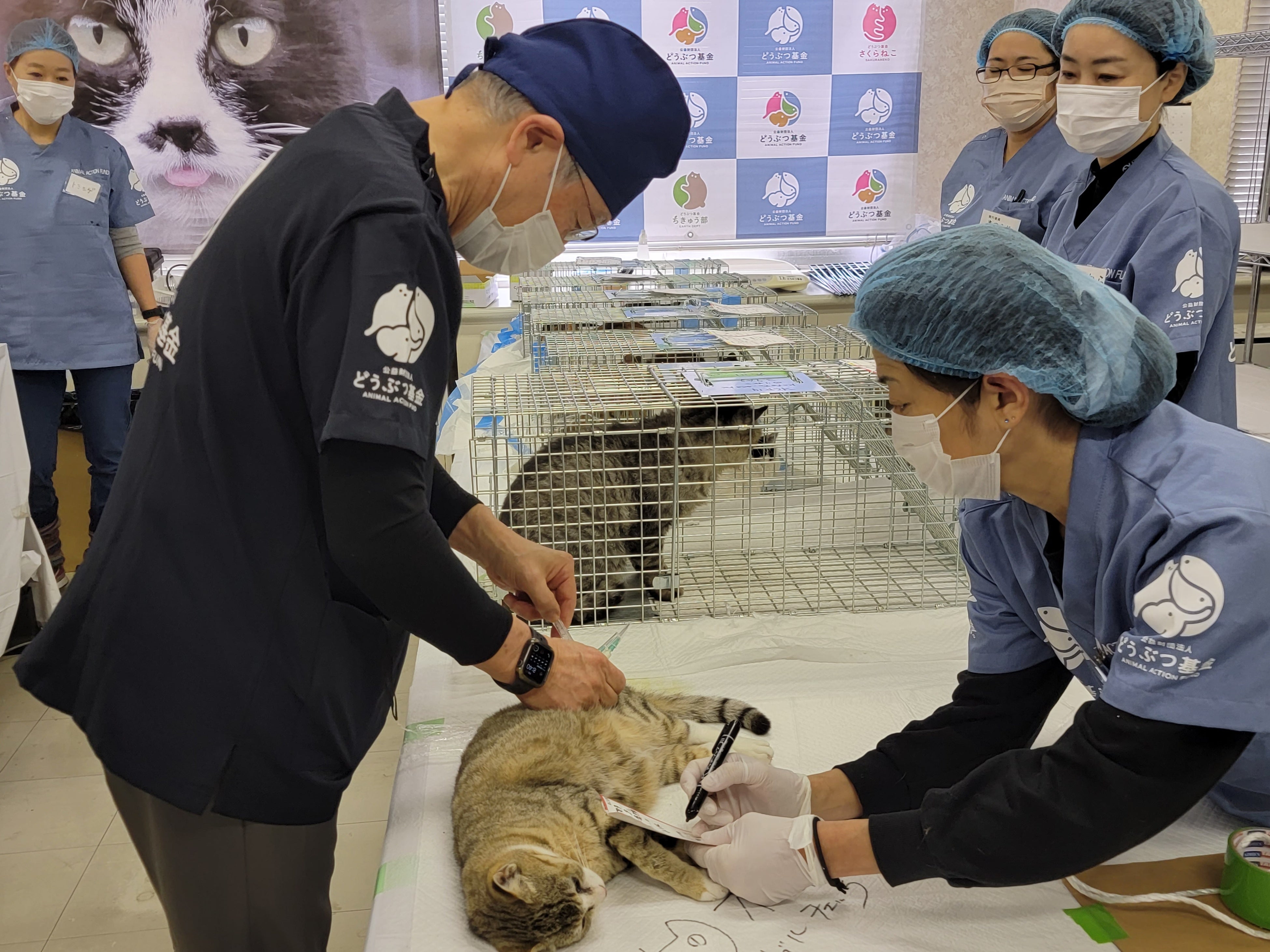 公益財団法人どうぶつ基金】◇緊急！署名募集中◇ 福岡県に