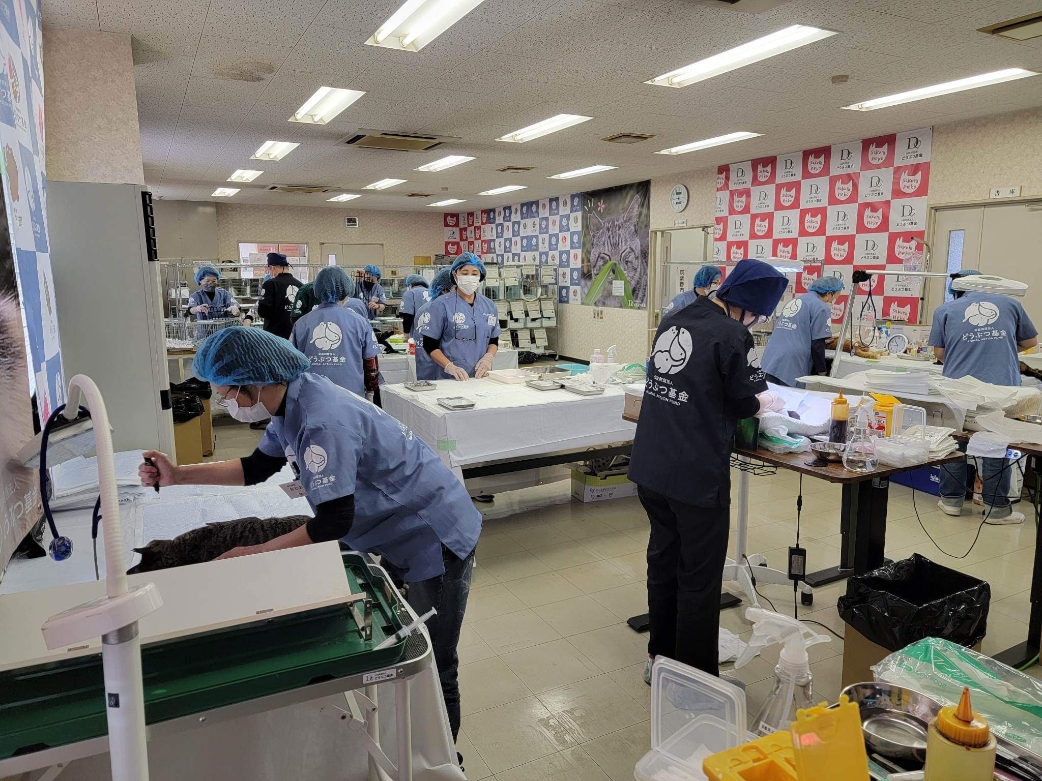 ファームプレス｜獣医学・動物看護の専門出版社