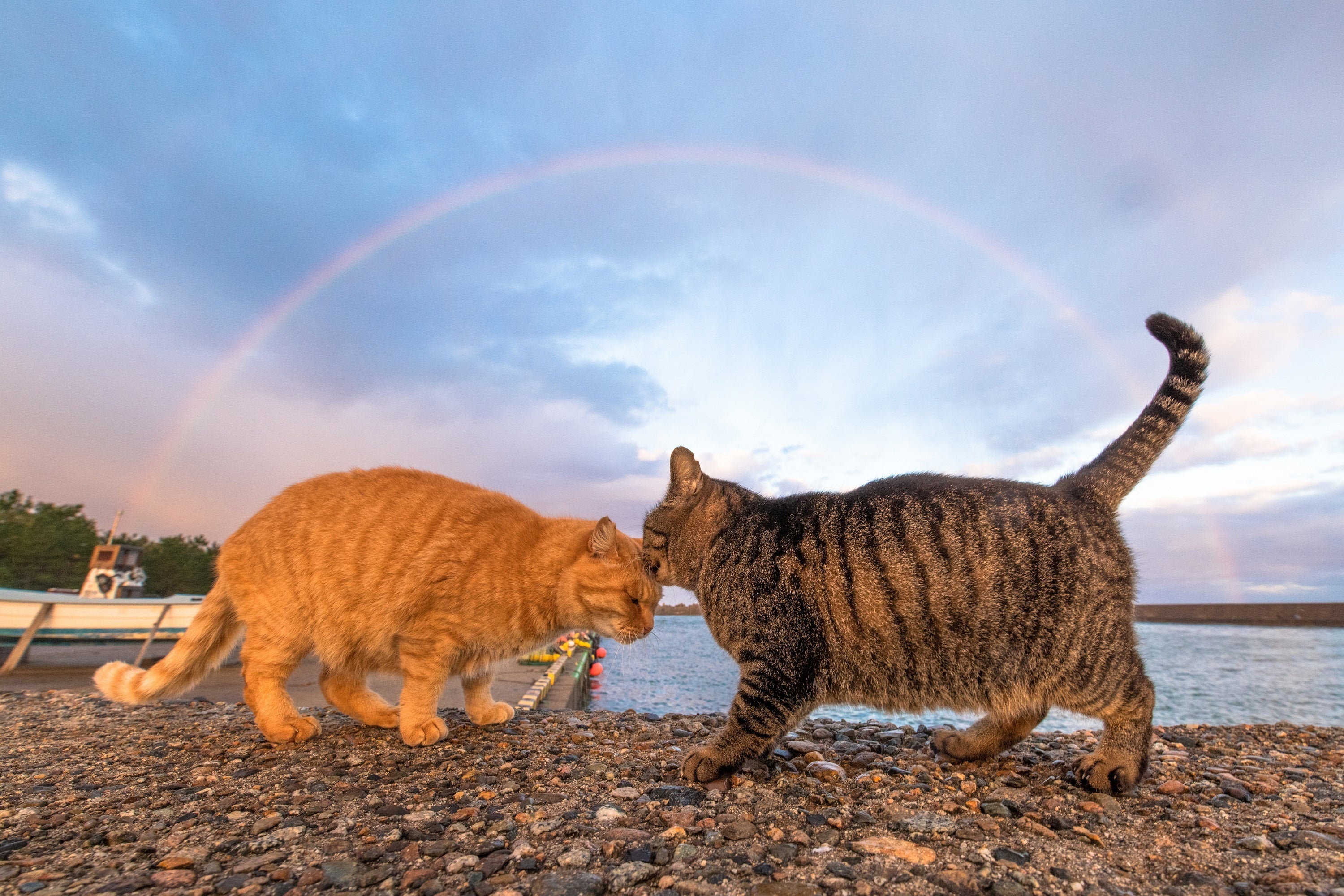 2022年度 理事長賞「奇跡」