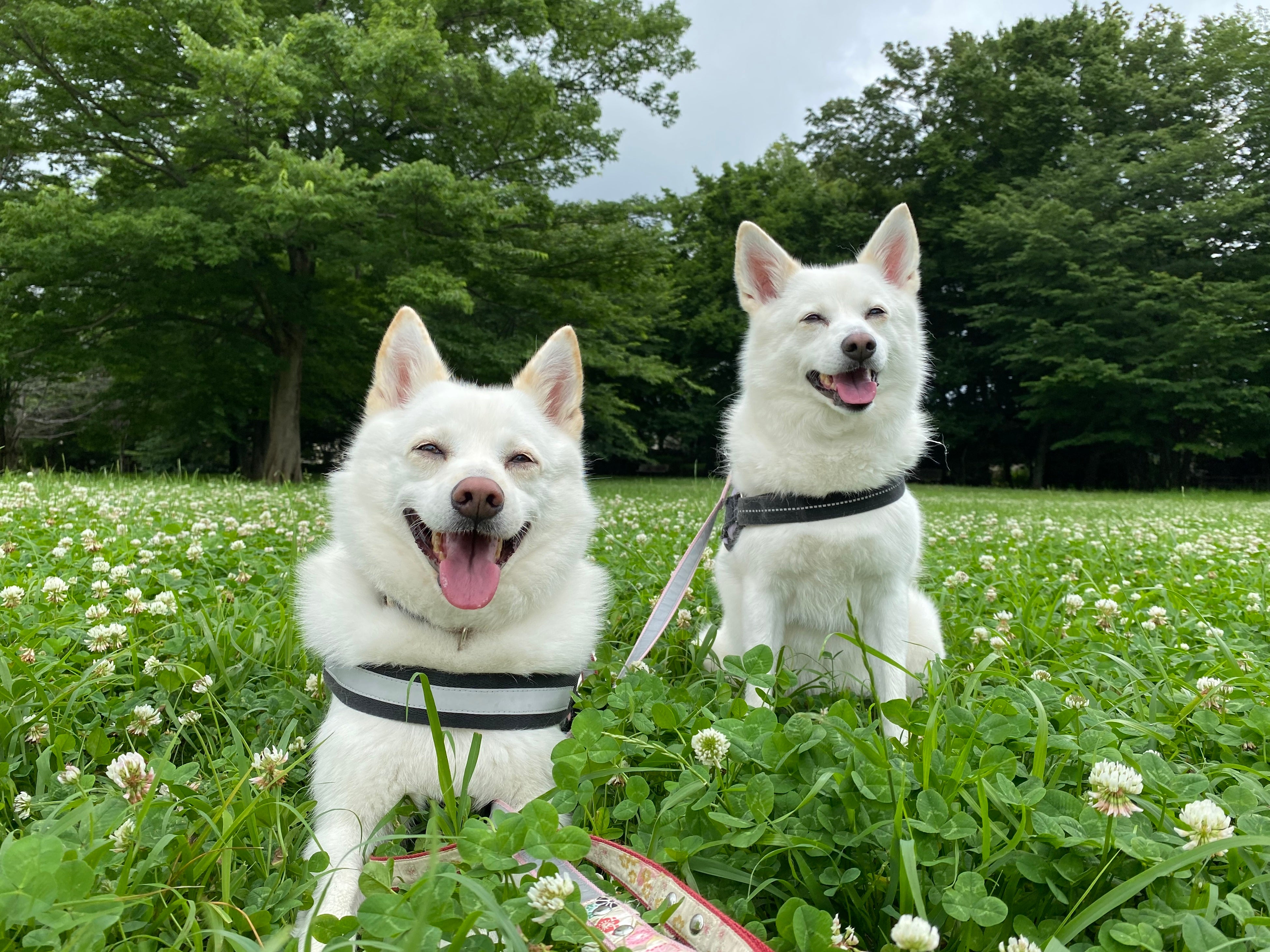 2022年度 大阪府知事賞「とびきりの笑顔！」