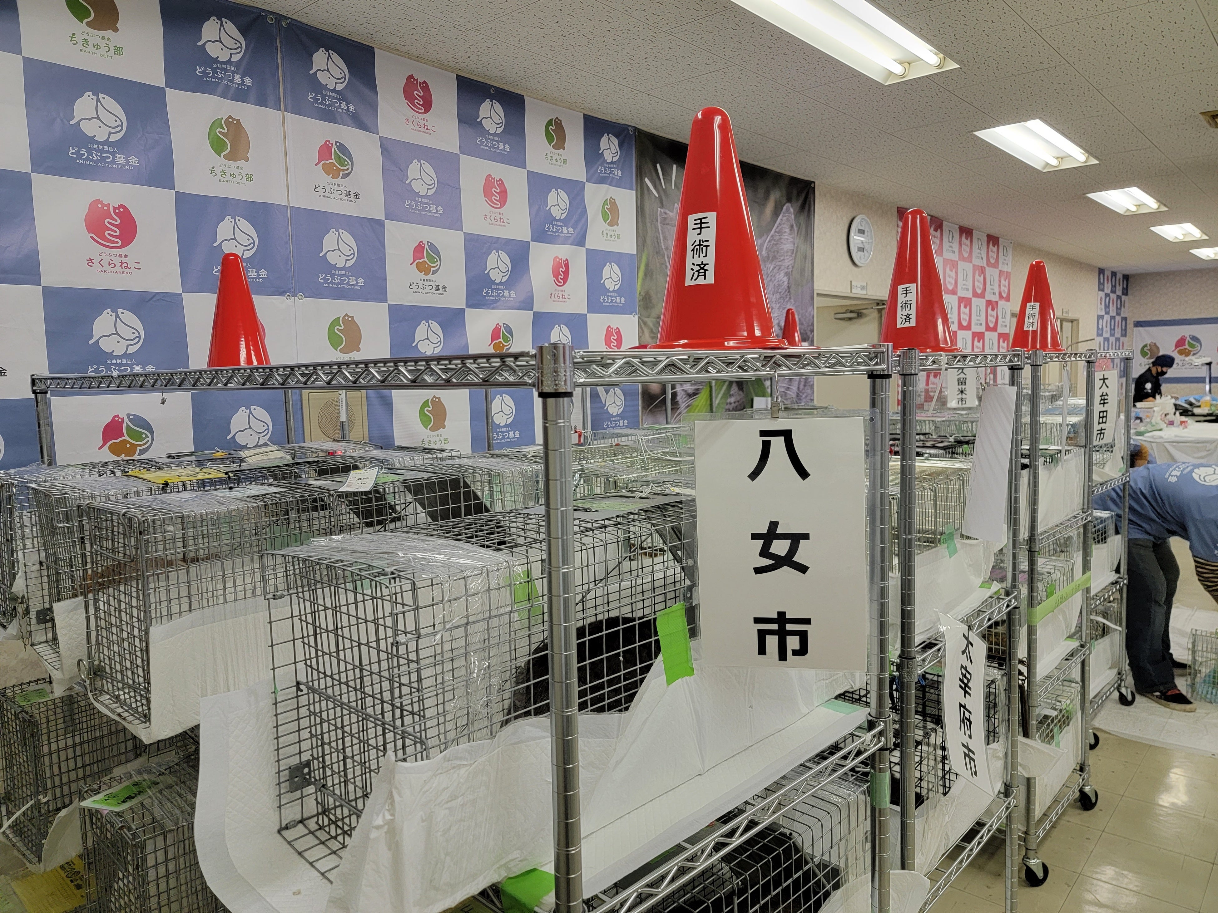 2022年、どうぶつ基金病院みやまの様子