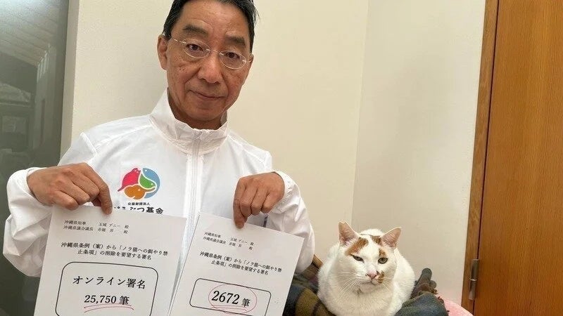野良猫への餌やり禁止条項に反対!沖縄県知事、沖縄県議会議長に要望書 野良猫への餌やり禁止条項に反対!沖縄県知事、沖縄県議会議長に要望書