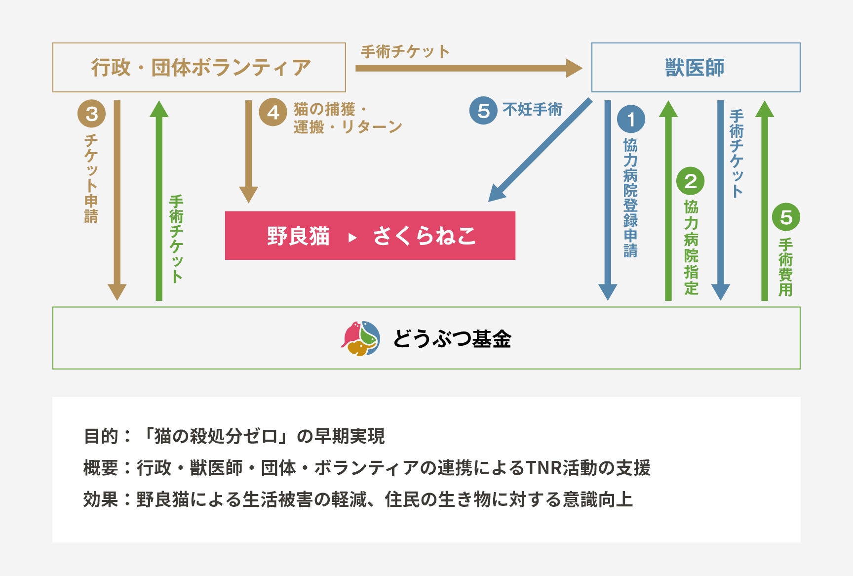 裁断済 新 図解による犬猫の骨手術アプローチ法 最新第3版 獣医