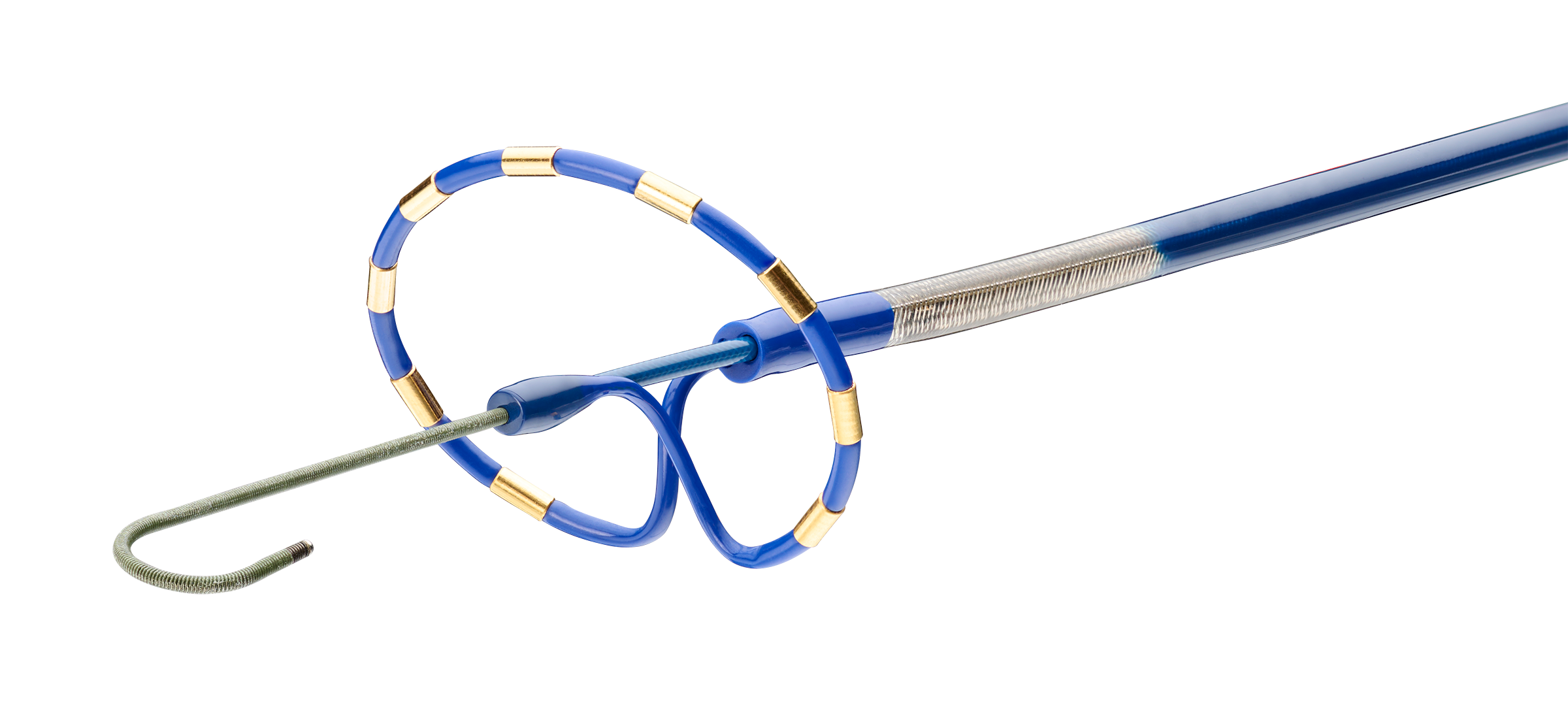 PulseSelect PFA Loopカテーテル 　医療機器承認番号：30600BZX00082000