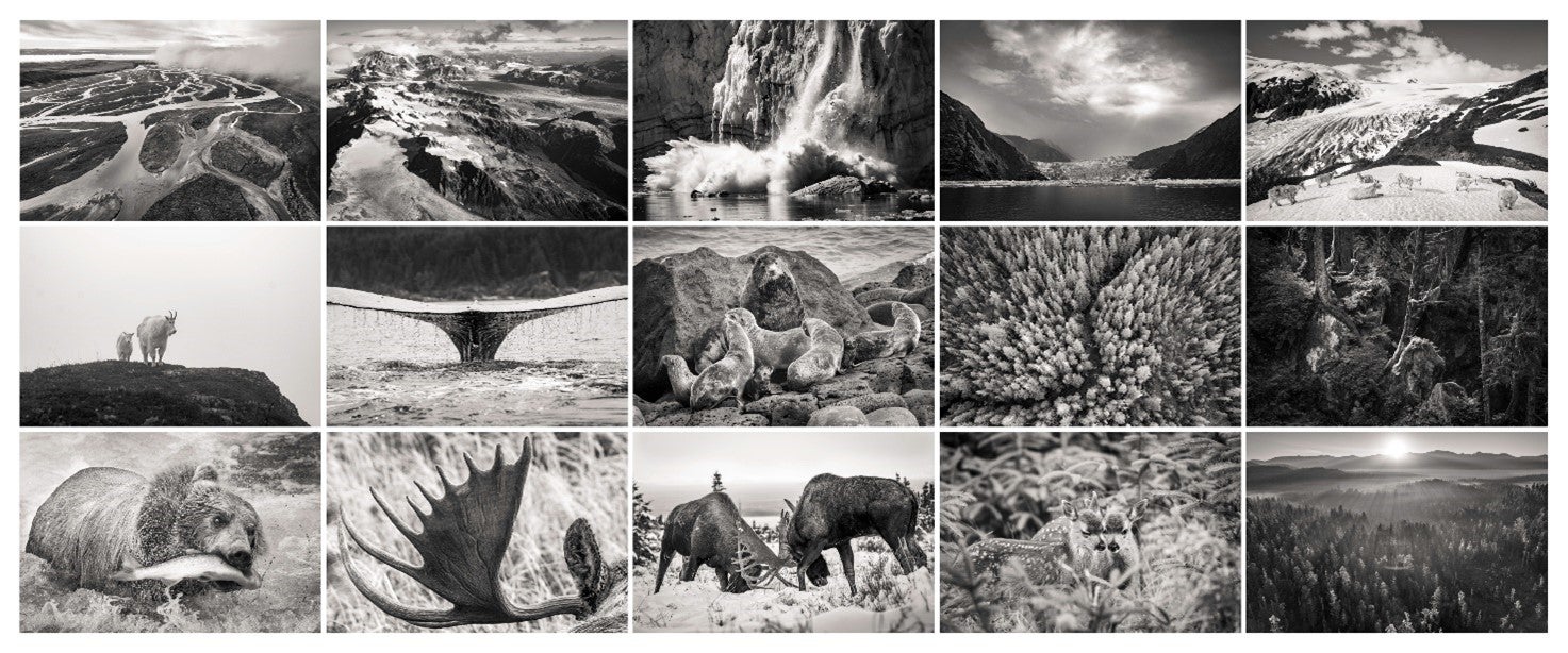 「天地開闢（てんちかいびゃく）人類がいない地球の姿が見られる場所」（抜粋）