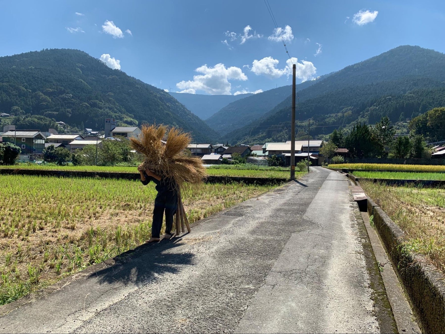徳島県神山町で制作したシシ