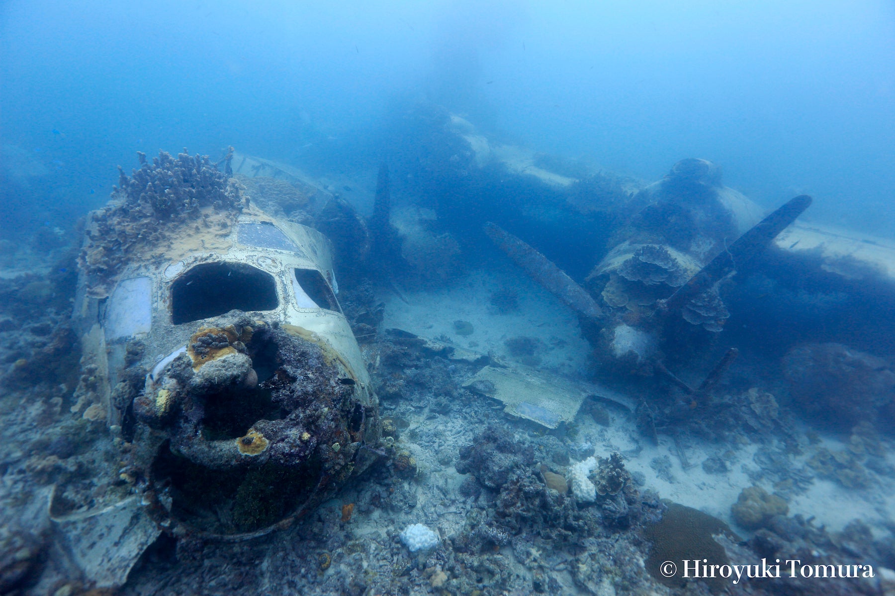 ミクロネシア連邦・チューク州に眠る二式大艇