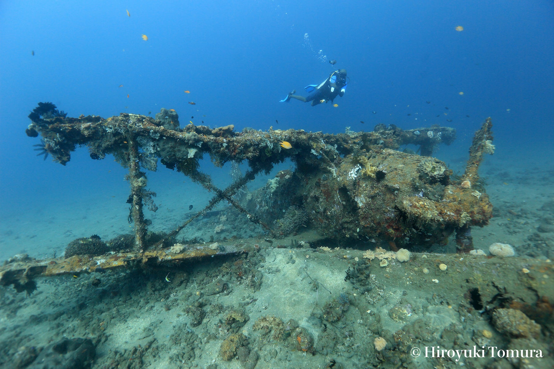 パプアニューギニア・ラバウルに眠る零式観測機